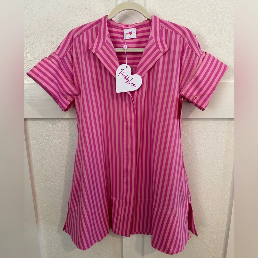 Buddy Love Dress - Vibrant Pink Striped Dress - Size Small - NWT - Picture 1 of 10